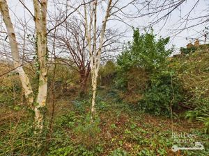 Garden- click for photo gallery